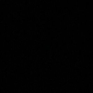 Meet your Posher, Noah